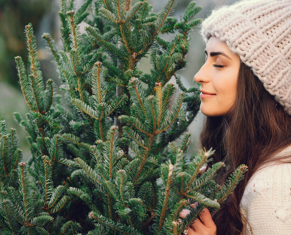 bezorgen kerstbomen duurzaam met bumbal